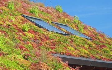 Skinningrove living roof systems